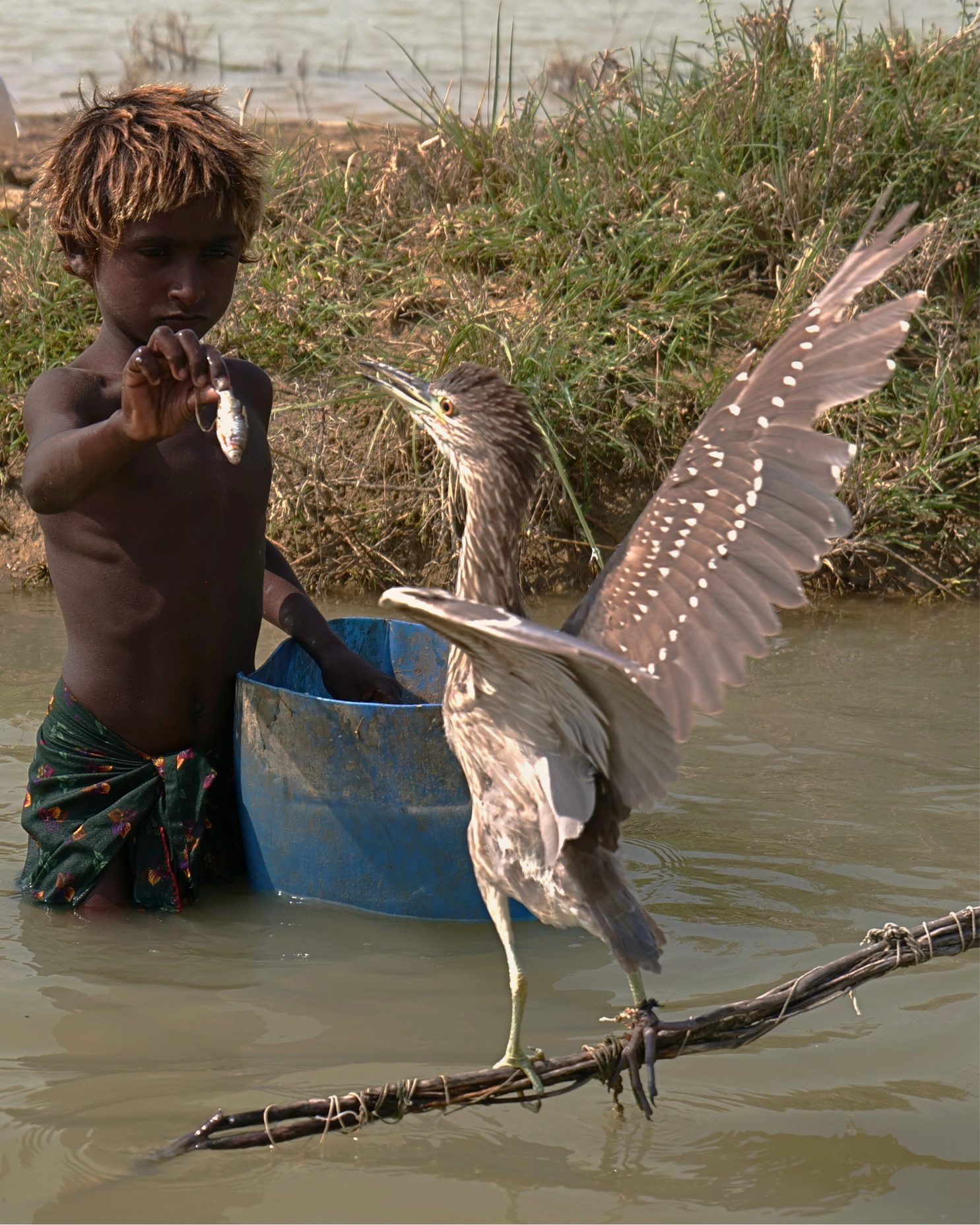 Shifa Foundation Donation