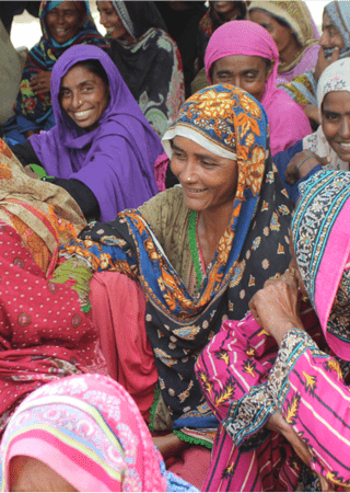 Health portfolio overview graphic