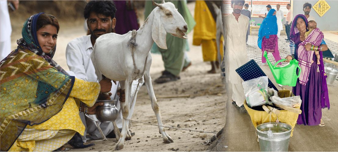 Food Security and Livelihood portfolio header