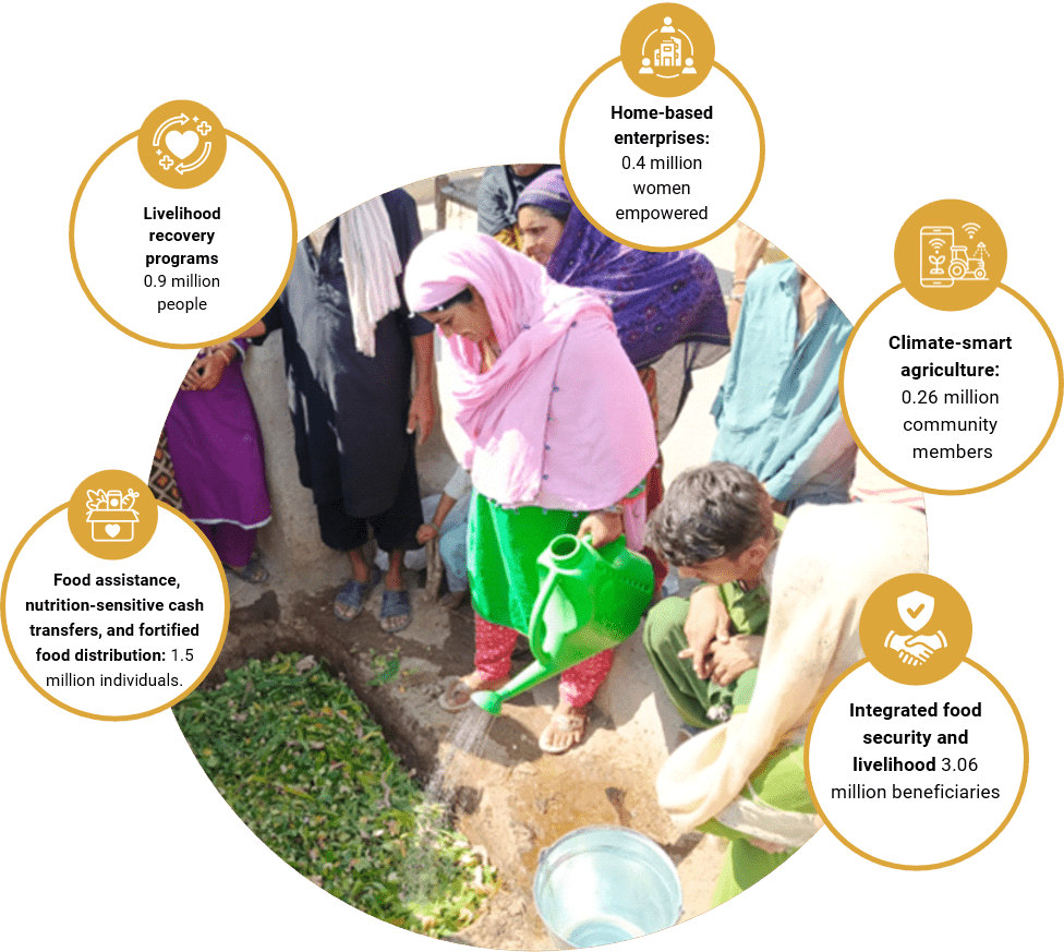 Scale and value infographic for Food Security and Livelihood